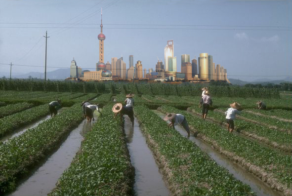 Der chinesische Weg: Francis Fukuyama und Wolfgang Bauer