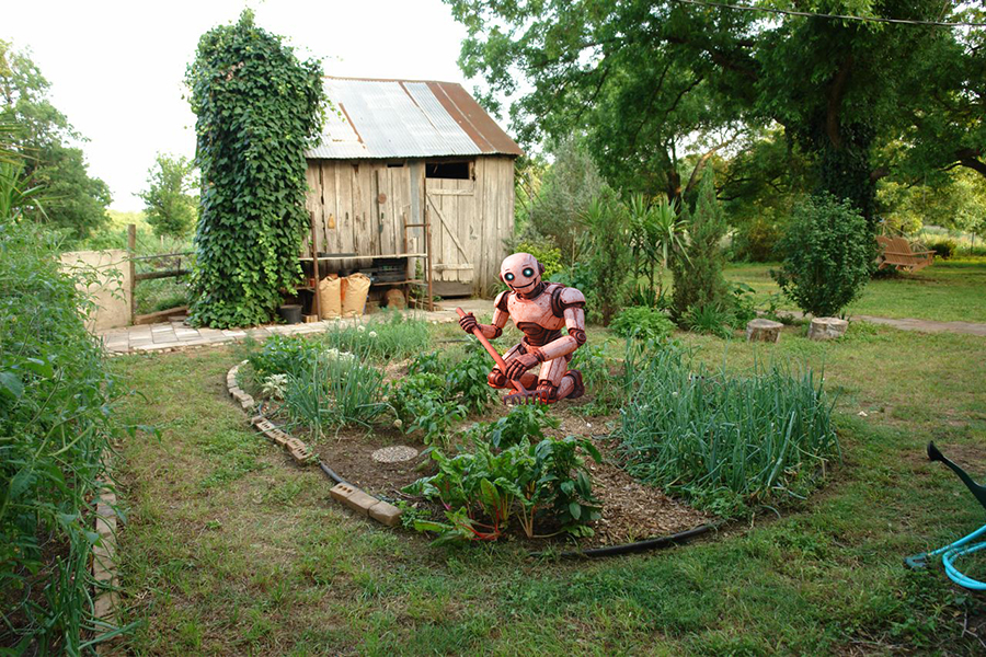 Ein traditioneller Gemüsegarten mit Roboter